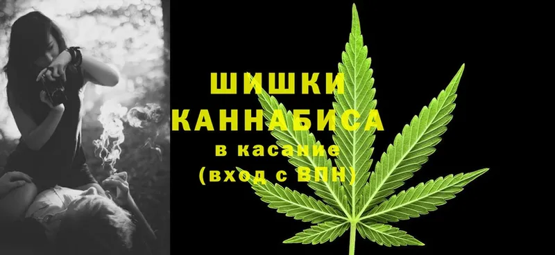 Марихуана White Widow  продажа наркотиков  Богородицк 